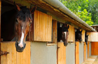 free Llanrumney stable construction quotes